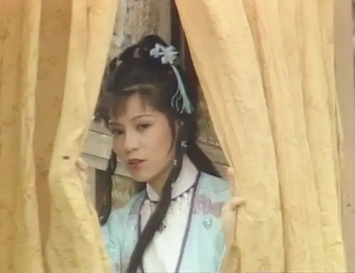 追忆星光回忆从翁美玲开始之射雕英雄传
