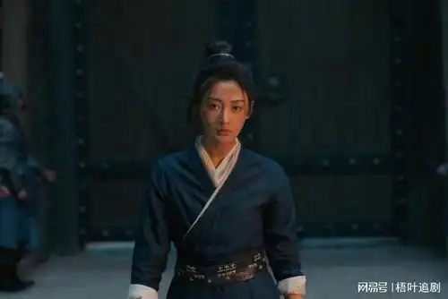 阿麦从军自从当上皇帝那一刻,商易之就已经失去了阿麦