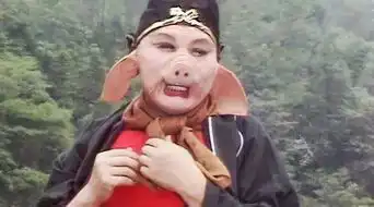 涨涨涨了猪肉已经卖到17元斤,长宁人你吃得起吗