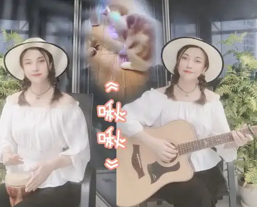 啾啾花开半夏高音质在线试听啾啾歌词歌曲下载酷狗音乐
