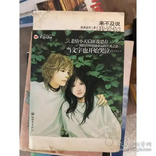 正版来不及说我爱你匪我思存著