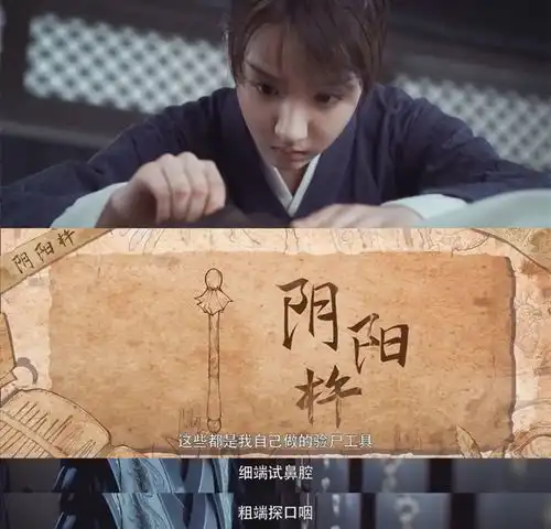 平台b级项目御赐小仵作翻盘记