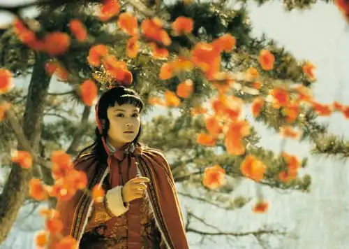 瑞悦读87版电视剧红楼梦剧照那些经典背后的秘密
