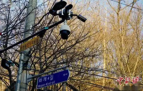 韩国素媛案罪犯出狱,民众和受害者父亲都怒了
