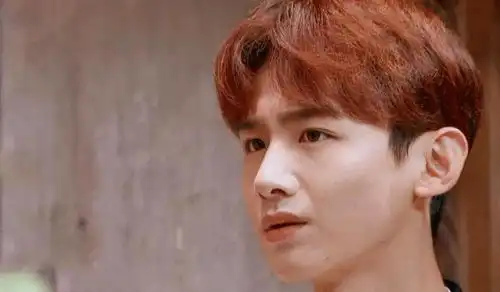 少年感十足的他,曾是少女的梦中初恋,白敬亭却一直靠作品说话