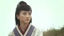 孙子大传张丰毅,景甜版
