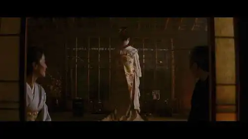 艺伎回忆录截图
