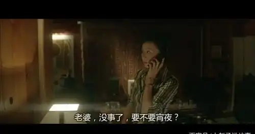 无间道二电影韩琛个人电影解析回顾一将功成万骨枯