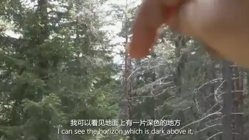 荒野生存经过几天的折磨,德爷终于走出这个荒野,太兴奋了呀
