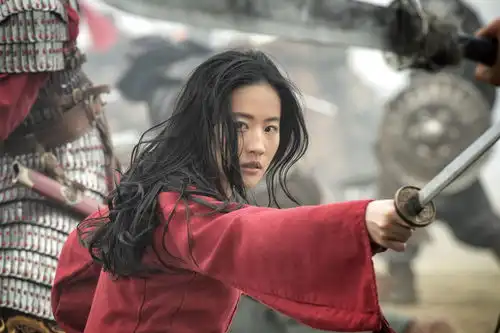 花木兰剧照侠女
