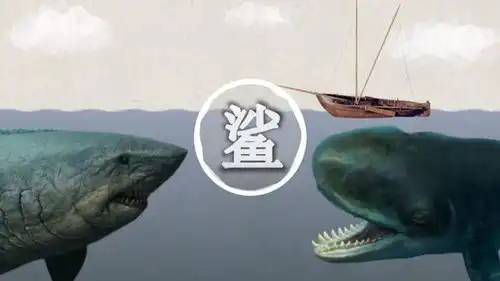 巨齿鲨哔哩哔哩bilibili
