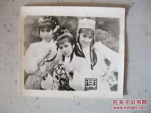 电视剧照射雕英雄传郭靖黄蓉杨康等5张