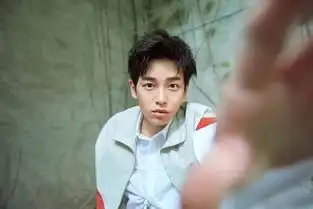 看完快把我哥带走网络剧vs电影的男女主角,你更期待哪一个