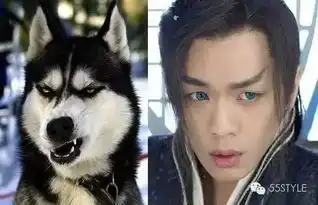 青云志才是仙侠剧的正确打开方式
