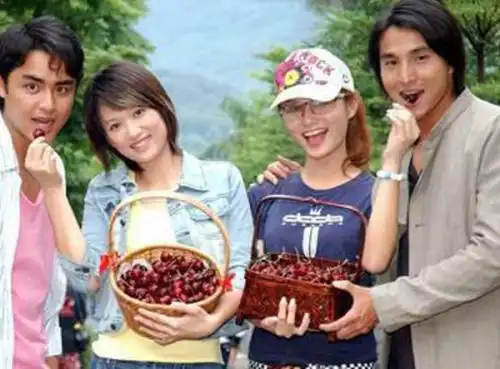 盘点那些年我们追过的红极一时的台湾偶像剧,如今都要翻拍了,你都看过吗