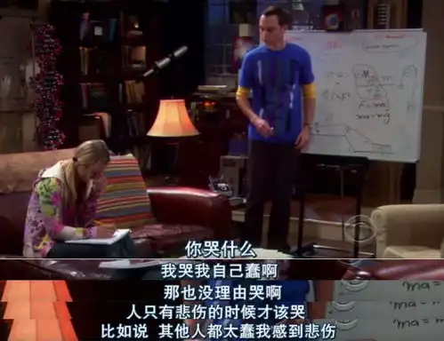 生活大爆炸完结,我们居然看一帮科学家唠了十二年家常
