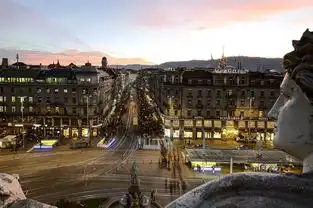 亲爱的翻译官,让小编邂逅瑞士的美
