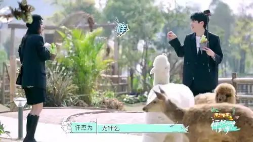 怦然心动20岁非儿是恋爱脑吧,看的人快要被她气死了,希望到时候她伤心了不要再去找阿卓