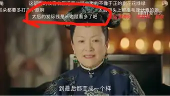 下有台词上有弹幕,延禧攻略语言文化划重点
