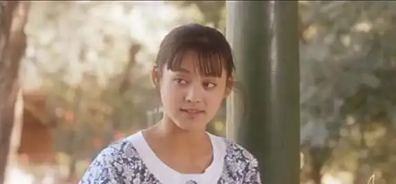 暗色调下人性探索,电影阳光灿烂的日子中,独特的日光暗色调
