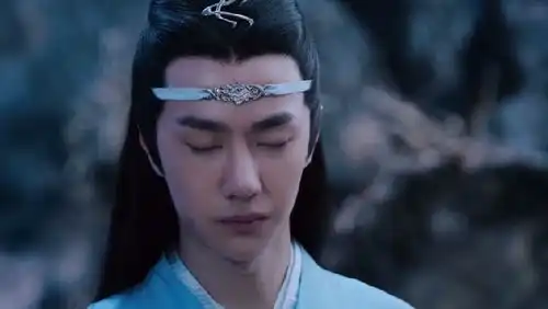 陈情令高级的爱是克制,是如你所愿,这才是蓝忘机的珍贵之处