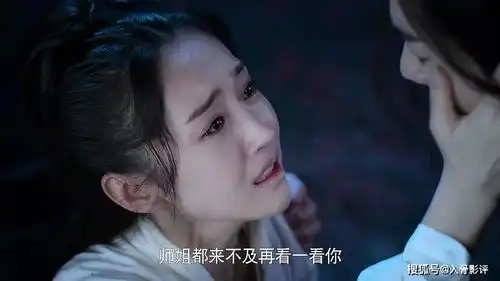 陈情令当我走到悬崖停驻,发觉泪也有温度魏无羡身陨不夜天温氏