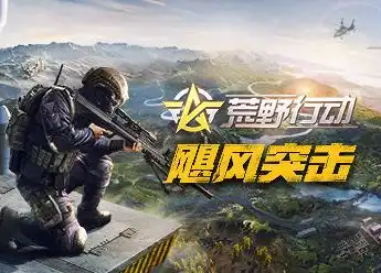 荒野行动手机版打赏火箭筒有什么用别人能看见吗