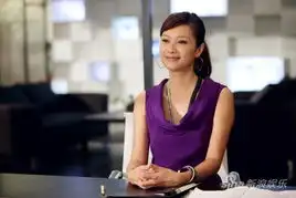 杜拉拉升职记定档期教你如何从菜鸟到白骨精

