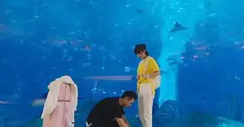 蜜汁炖鱿鱼李现竟帮杨紫系鞋带网友这是什么神仙福利