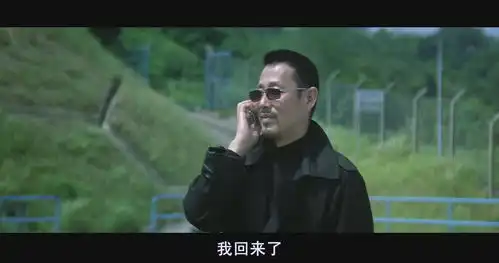 无间道3终极无间
