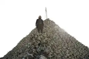 荒野首周2亿成票房最好奥斯卡非视效影片
