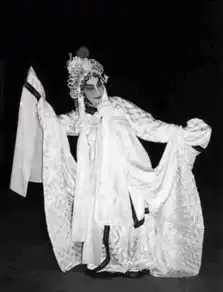 人物台湾梅兰芳顾正秋一句苏三惊四座