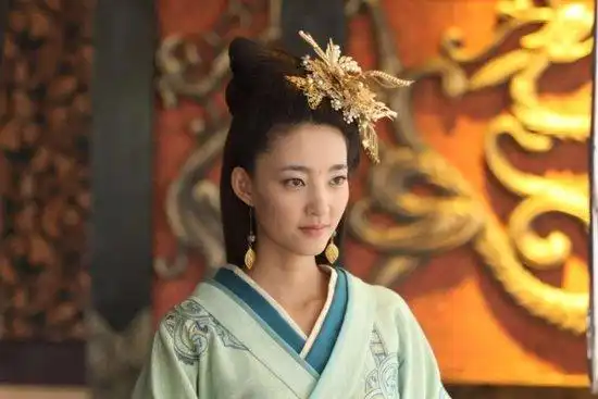 王丽坤系列影评之美人心计
