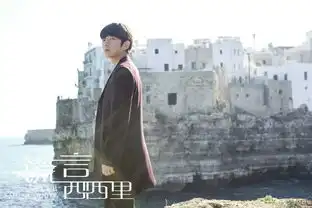 谎言西西里在或不在海报引悬念