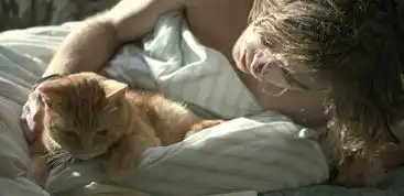 流浪猫鲍勃爱是人类最美好的语言