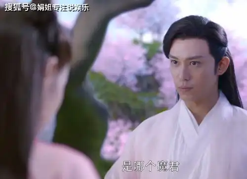 三生三世枕上书剧照护短