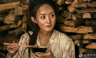 特工皇妃楚乔传首曝剧照赵丽颖解锁女奴模式
