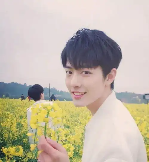 星星的情书明星艺人占星星盘解析之肖战