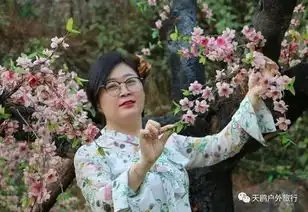 跟着三生三世十里桃花,看尽普者黑的绝色山水
