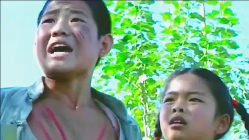 潘嘎之交彻底破裂嘎子报复性带货,潘长江认辛巴做干儿子
