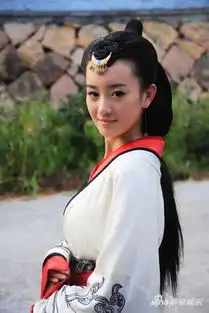 有美人心计中卫子夫的剧照吗
