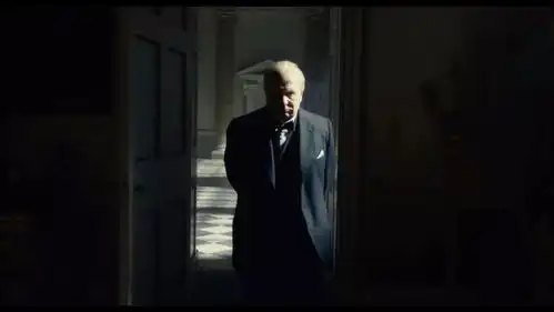 跟风第90届奥斯卡获奖名单
