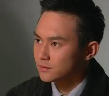 张智霖在20世纪90年代参演过的七部电视剧,你都看过哪些
