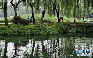 雨中颐和园别有一番韵味游人雨中撑船观赏昆明湖雨景