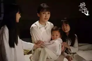 娘道豆瓣评分仅2.8分,娘道三观不正却成收视冠军原因揭秘
