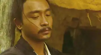 王家卫东邪西毒