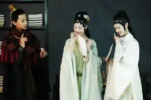 夏日擂台红楼梦vs红楼q梦
