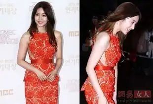 甄嬛眼柏芝脸柳岩胸舒淇唇详解2013年整容新标本