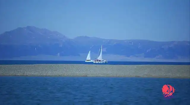 新疆是个好地方来新疆这里,乘风破浪
