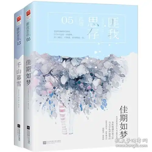 正版佳期如梦千山暮雪匪我思存全套全集2册现代都市言情爱情情感小书虐心小说书籍东宫爱如繁星来不及说我爱你作者作品
